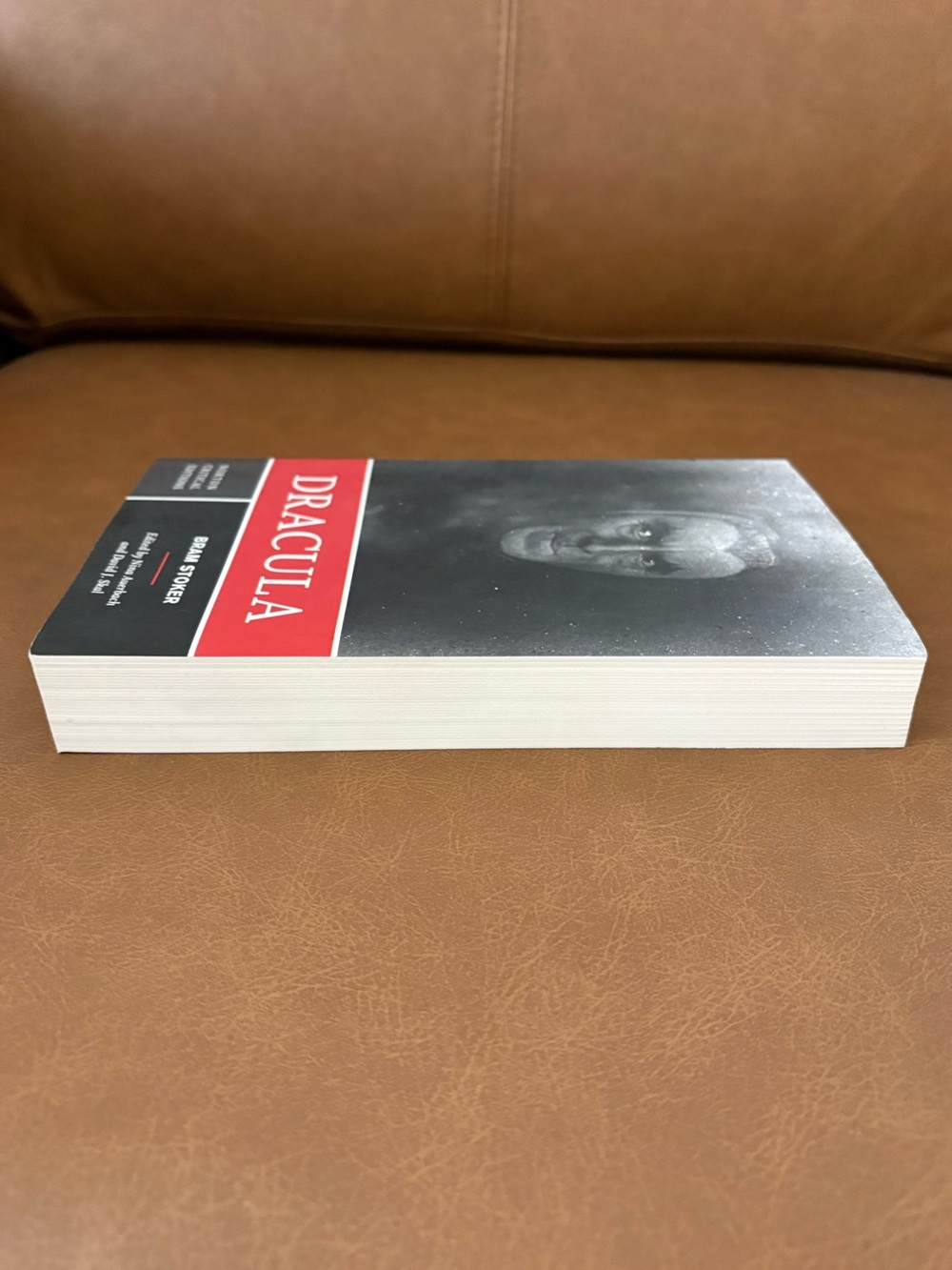 Dracula Paperback Book - Picture 4 of 4